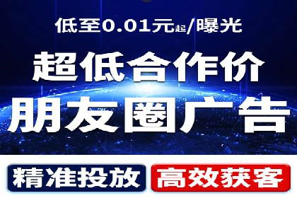 SEO与SEM优化案例：打造行业领先品牌